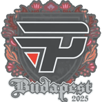 Sticker | paiN Gaming | Budapest 2025
