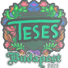 Sticker | TeSeS (Embroidered) | Budapest 2025 Sticker | TeSeS (Embroidered) | Budapest 2025 image