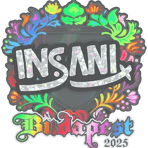 Sticker | insani (Holo) | Budapest 2025