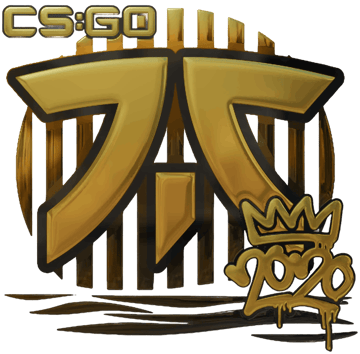 Sticker | Fnatic（黃金）| 2020 RMR