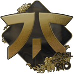 Sticker | Fnatic (Gold) | Rio 2022