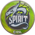 Sticker | Team Spirit | Katowice 2019