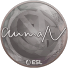 Sticker | aumaN | Katowice 2019 image