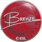 Sticker | Brehze | Katowice 2019 image