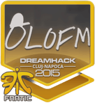 Sticker | olofmeister | Cluj-Napoca 2015