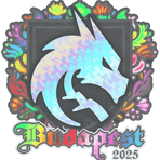 Sticker | Team Spirit (Holo) | Budapest 2025