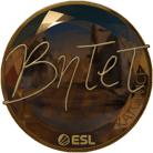 Sticker | BnTeT (Gold) | Katowice 2019 image