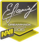 Sticker | flamie | Cluj-Napoca 2015