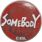 Sticker | somebody | Katowice 2019 image