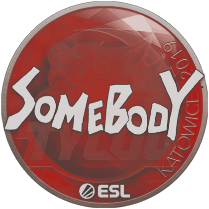 Sticker | somebody | Katowice 2019