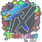 Sticker | Fluxo (Holo) | Budapest 2025