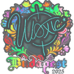 Sticker | woxic (Holo) | Budapest 2025