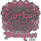 Sticker | karrigan | Budapest 2025 image
