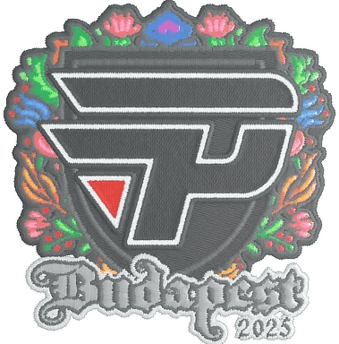 Adesivo | paiN Gaming (Ricamato) | Budapest 2025