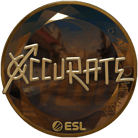 Sticker | xccurate (Gold) | Katowice 2019 image