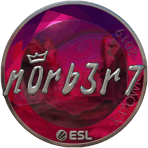 Sticker | n0rb3r7 (Foil) | Katowice 2019