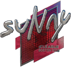 Sticker | suNny (Foil) | Boston 2018 image