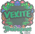 Sticker | vexite (Embroidered) | Budapest 2025 Sticker | vexite (Embroidered) | Budapest 2025 image