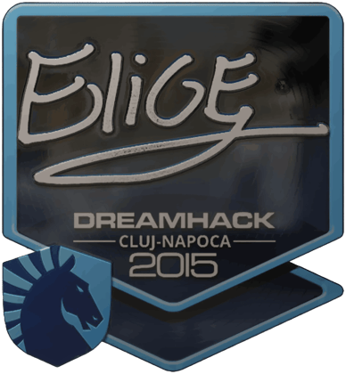 Sticker | EliGE (foliowana) | Kluż-Napoka 2015