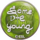 Sticker | sdy | Katowice 2019 image