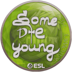 Sticker | sdy | Katowice 2019