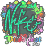 Sticker | NiKo (Holo) | Budapest 2025