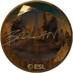 Sticker | Brollan (Gold) | Katowice 2019