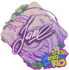 Sticker | Jame | Rio 2022 Sticker | Jame | Rio 2022 image