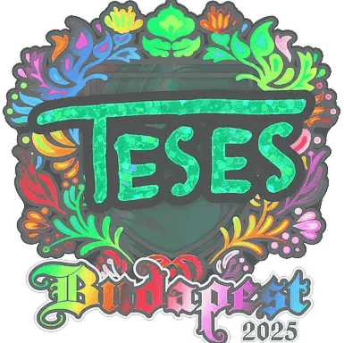 貼紙 | TeSeS(彩光)| Budapest 2025