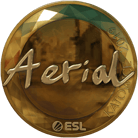 Sticker | Aerial (Gold) | Katowice 2019 image