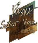 Sticker | flusha (Gold) | Boston 2018