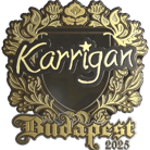 Sticker | karrigan (Gold) | Budapest 2025 image
