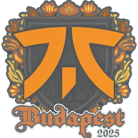 Sticker | fnatic | Budapest 2025 Sticker | fnatic | Budapest 2025 image