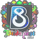 Sticker | B8 (Holo) | Budapest 2025 image