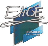 Sticker | EliGE | Boston 2018