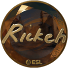 Sticker | Rickeh (Gold) | Katowice 2019 image