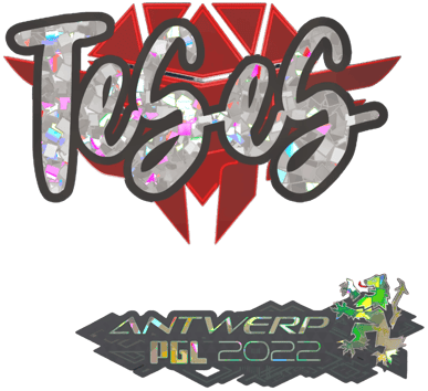 Sticker | TeSeS(반짝이) | 안트베르펜 2022