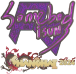 Sticker | somebody (Holo) | Shanghai 2024