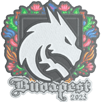 Hình dán | Team Spirit (Dệt thêu) | Budapest 2025