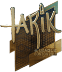 Sticker | tarik (Gold) | Boston 2018