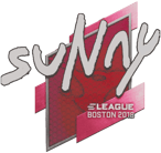 Sticker | suNny | Boston 2018 image