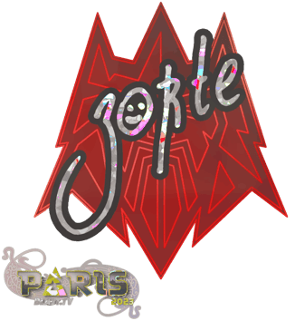 Sticker | zorte（闪耀）| 2023年巴黎锦标赛