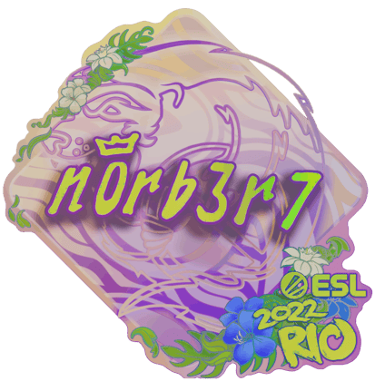 Sticker | n0rb3r7 (holográfica) | Río 2022