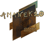 Sticker | AmaNEk (Gold) | Boston 2018 Sticker | AmaNEk (Gold) | Boston 2018 image