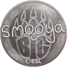 Sticker | smooya | Katowice 2019 image
