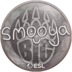 Sticker | smooya | Katowice 2019