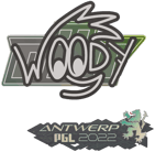 Sticker | WOOD7 | Antwerp 2022 image