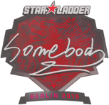 Sticker | somebody | Berlin 2019