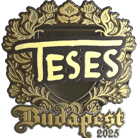 Sticker | TeSeS (Gold) | Budapest 2025 image