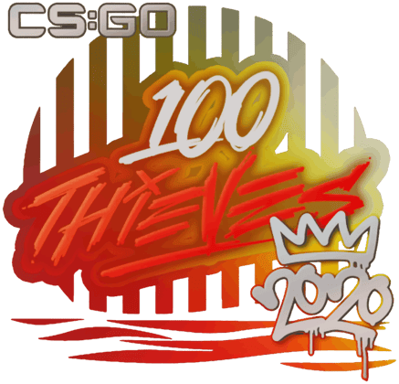 Sticker | 100 Thieves | 2020 RMR